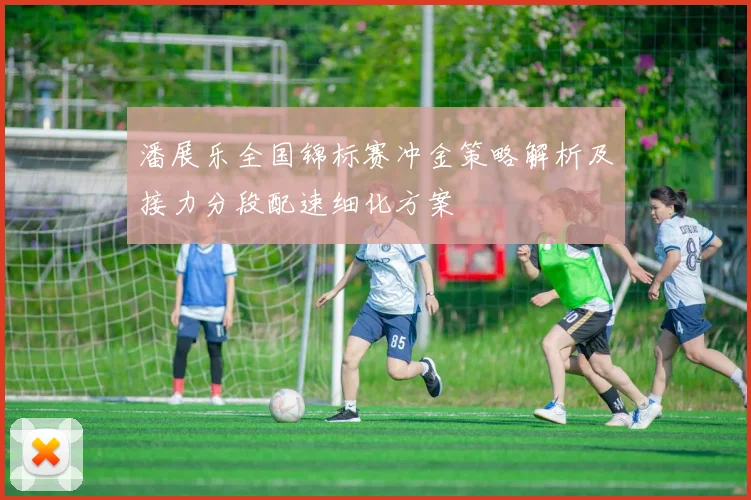 潘展乐全国锦标赛冲金策略解析及接力分段配速细化方案